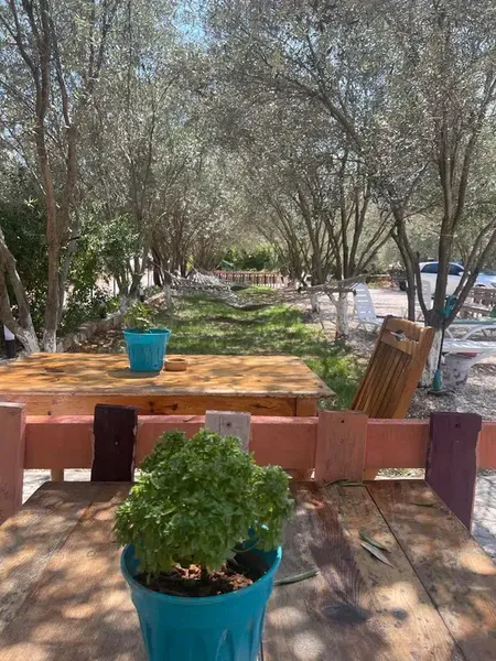 Salih Yaman Fırın Kafe - Photo 1