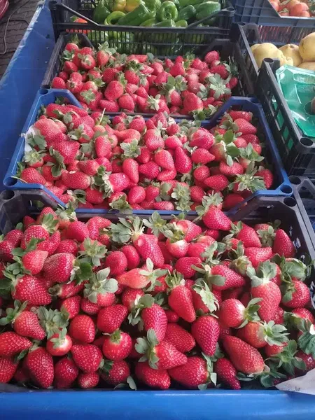 Saraçlı Market Manav Tekel - Photo 5