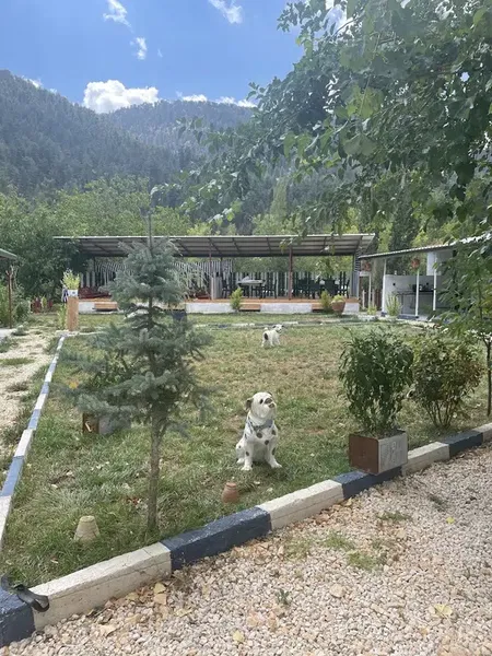 Sarica Garden Cafe - Photo 10