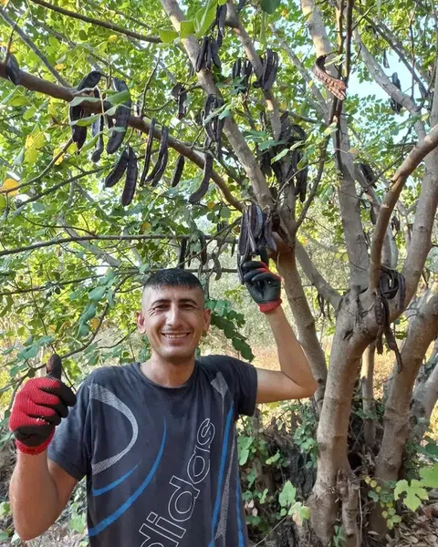 Sarikaya Keçi̇boynuzu Ve Pekmezi̇ - Photo 5