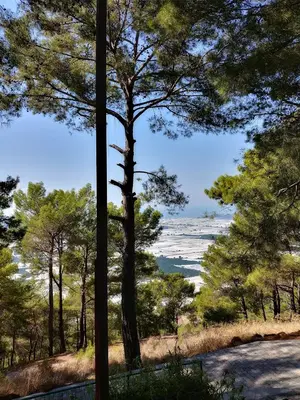 Sarnıç Tepe Dinlenme Yeri
