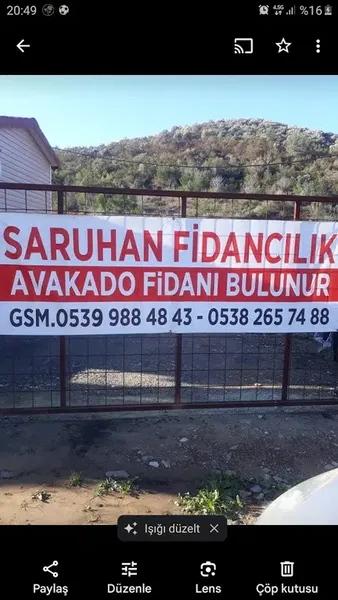 Saruhan fidancılık - Photo 6