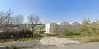 Saruhan fidancılık - Photo 7