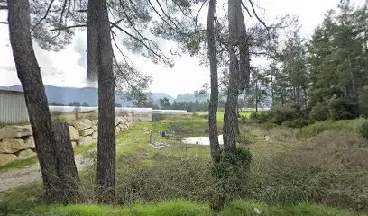 Sarıca Kardeşler Ticaret