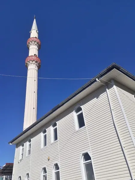 Sarıhasanlı Kadıoğlu Cami - Photo 1