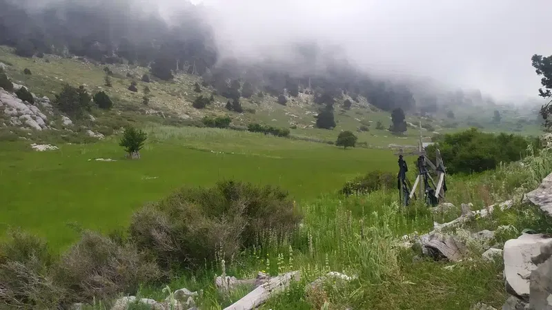 Sarikaya National Park - Photo 10