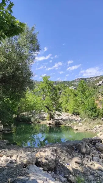 Sarıoğlu piknik - Photo 2