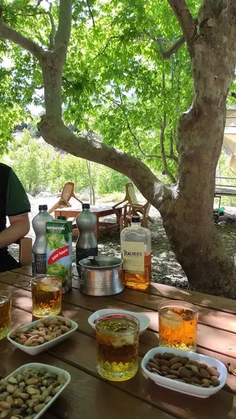 Sarıoğlu piknik - Photo 3