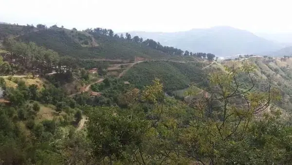 Sazak Mahallesi̇