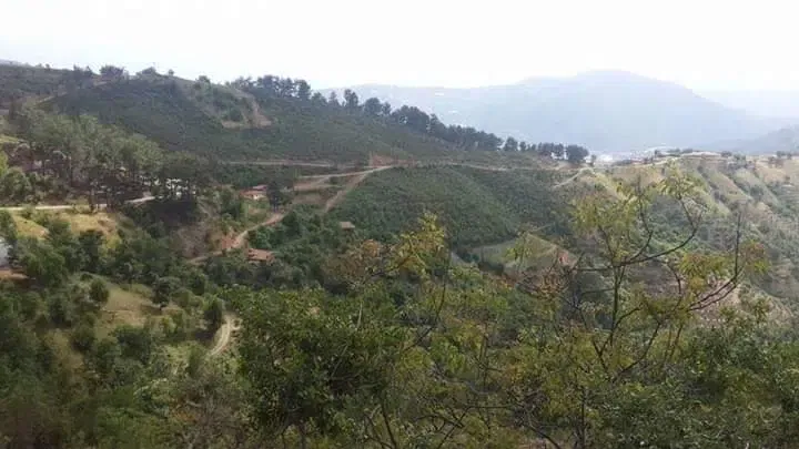 Sazak Mahallesi̇ - Photo 1