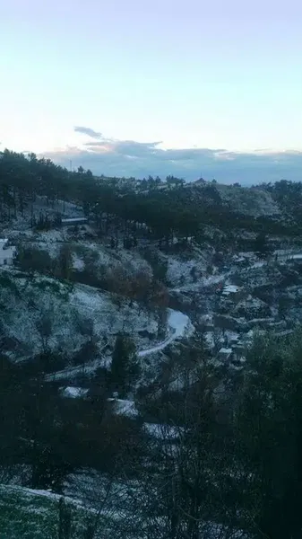 Sazak Mahallesi̇ - Photo 8