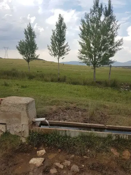 Sazlık piknik alanı - Photo 2