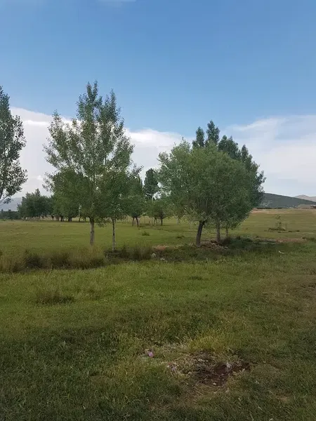 Sazlık piknik alanı - Photo 3