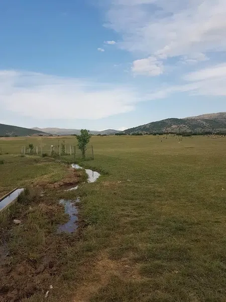 Sazlık piknik alanı - Photo 4