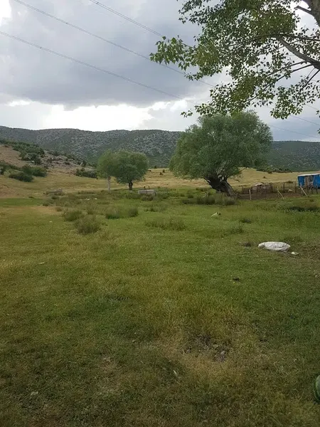 Sazlık piknik alanı - Photo 5