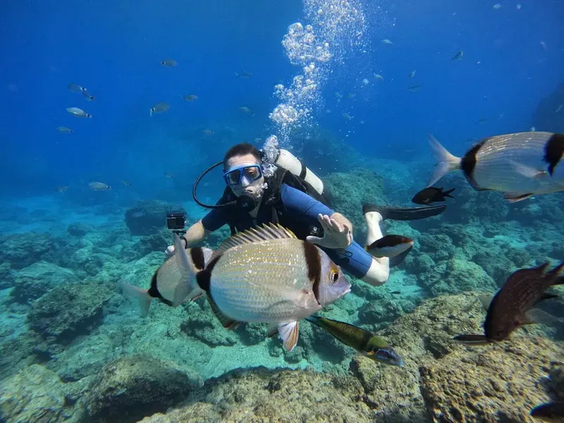 Seafox Diving Center - Photo 4