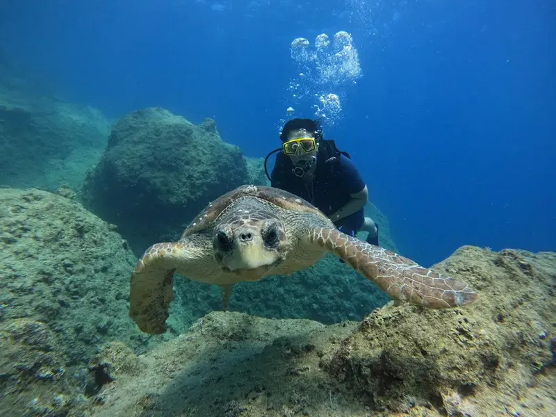 Seafox Diving Center - Photo 5