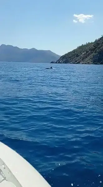 Seafox Diving Center - Photo 8