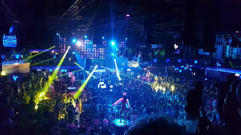 Seal Ses Işık Görüntü Sistemleri - Photo 2