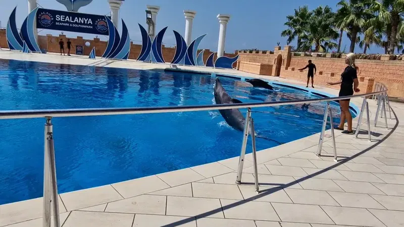 Sealanya Dolphinpark Seapark - Photo 3