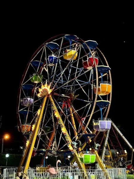 Selectum Lunapark - Photo 3