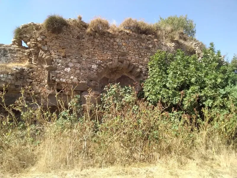 Selinus Ancient City - Photo 6
