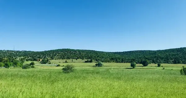 Selki Kasabası Tarımsal Kalkınma Kooperatifi