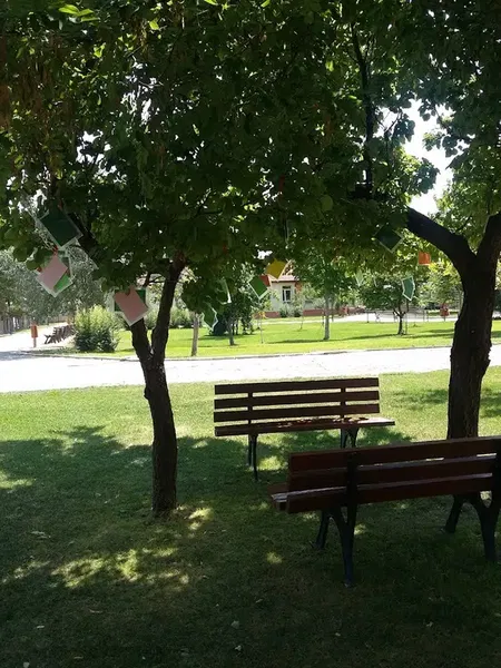 Selçuk Üniversitesi Akören Ali Rıza Ercan Meslek Yüksek Okulu - Photo 5