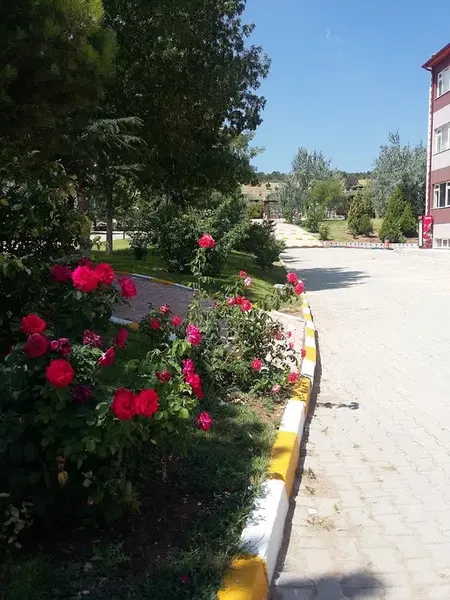 Selçuk Üniversitesi Akören Ali Rıza Ercan Meslek Yüksek Okulu - Photo 9