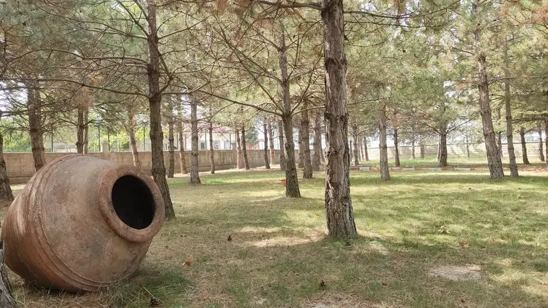 Selçuk Üniversitesi Akşehir Meslek Yüksekokulu - Photo 5