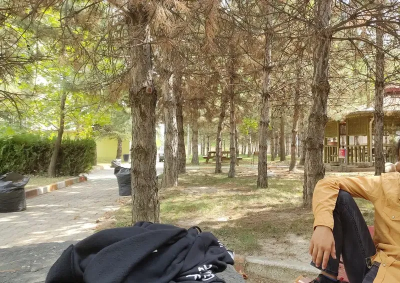 Selçuk Üniversitesi Akşehir Meslek Yüksekokulu - Photo 6