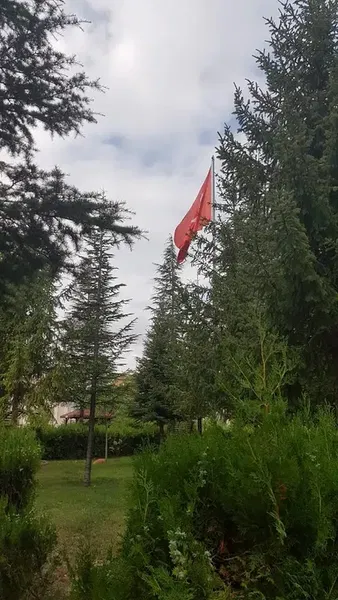 Selçuk Üniversitesi Beyşehir Ali Akkanat Meslek Yüksekokulu - Photo 10