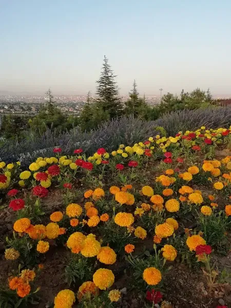 Selçuklu Seyir Tepesi - Photo 10
