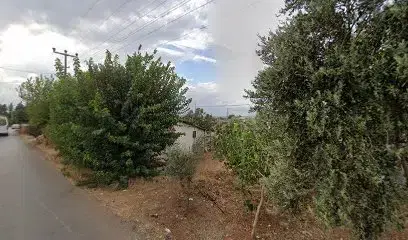 Semt pazarı