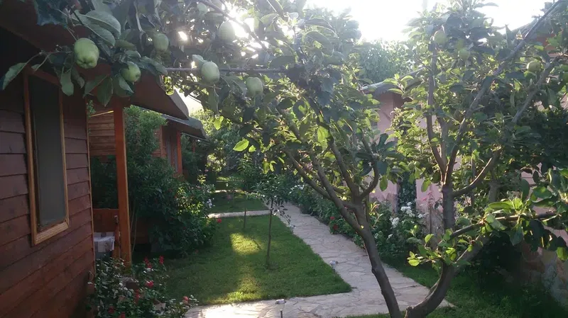 Sera Hostel - Photo 10