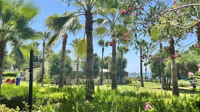 Serenis Beach - Photo 10