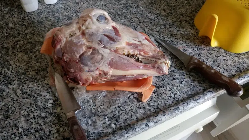 Serik Ziraat Odası Başkanlığı - Photo 1