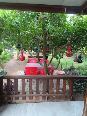 Serra'nın evi