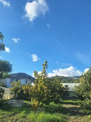 Sertgöz Bahçe