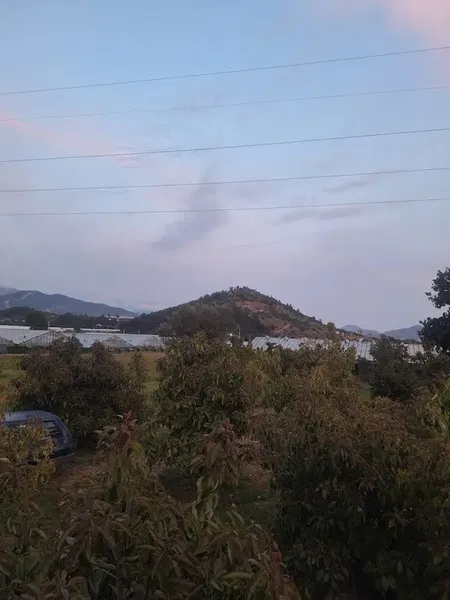 Sertgöz Bahçe - Photo 3