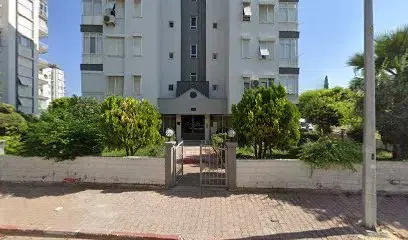 Sevimli Baykuş Hobi Evi