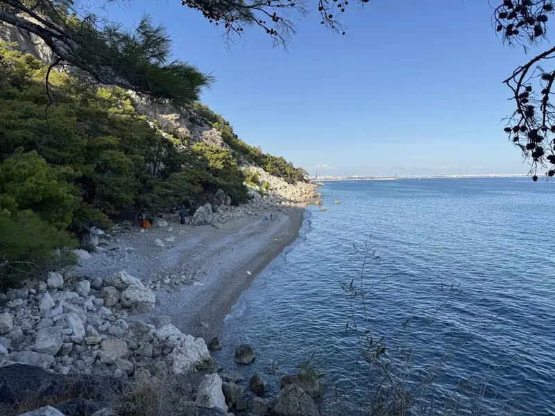 Sevis koyu - Photo 3