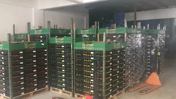 Sevpa tarım Ltd şti