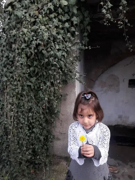 Seydişehir Çiçek Taksi - Photo 4