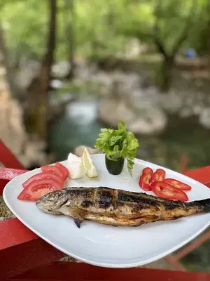 Seyr-i alaca piknik