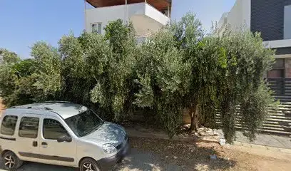 Sezer Koçak'In Yeri̇