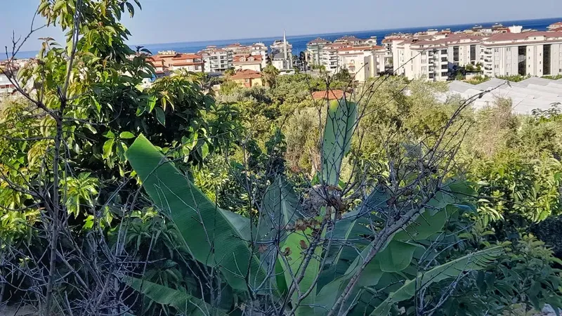Sezeral Garden - Photo 2