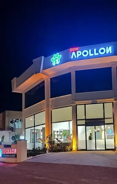 Side Apollon Veteriner Kliniği - Photo 9