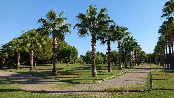 Side Belediyesi Park Ve Bahçeler Müdürlüğü