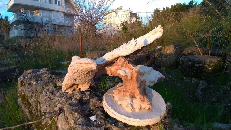 Side Belediyesi - Photo 7